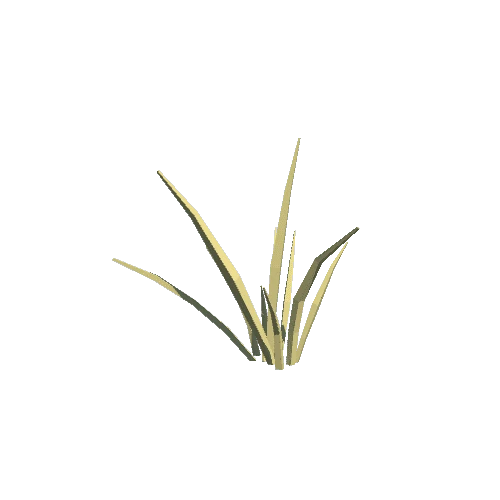 Grass 010